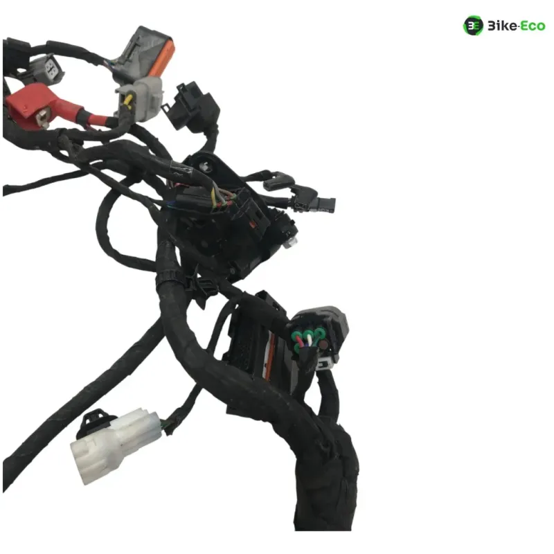 Faisceau electrique CF MOTO NK 800 2023-2025