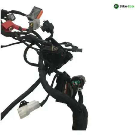 Faisceau electrique CF MOTO NK 800 2023-2025