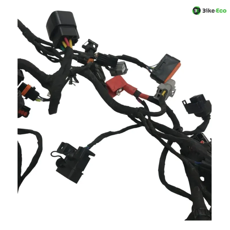 Faisceau electrique CF MOTO NK 800 2023-2025