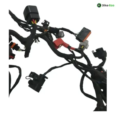 Faisceau electrique CF MOTO NK 800 2023-2025
