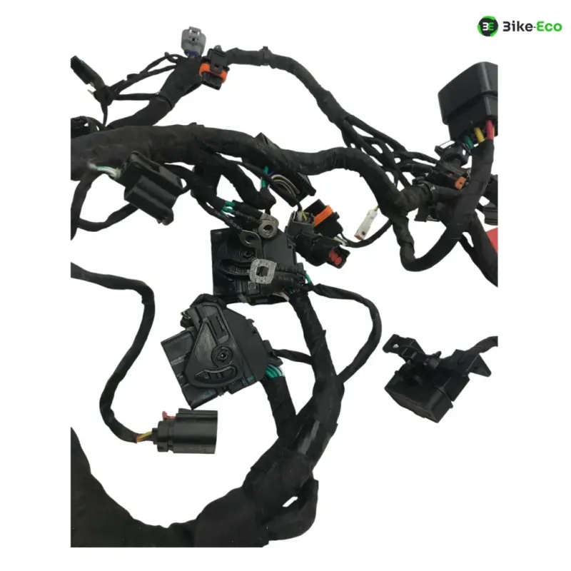 Faisceau electrique CF MOTO NK 800 2023-2025