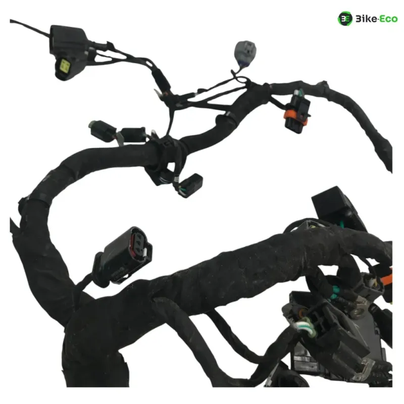 Faisceau electrique CF MOTO NK 800 2023-2025