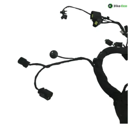 Faisceau electrique CF MOTO NK 800 2023-2025