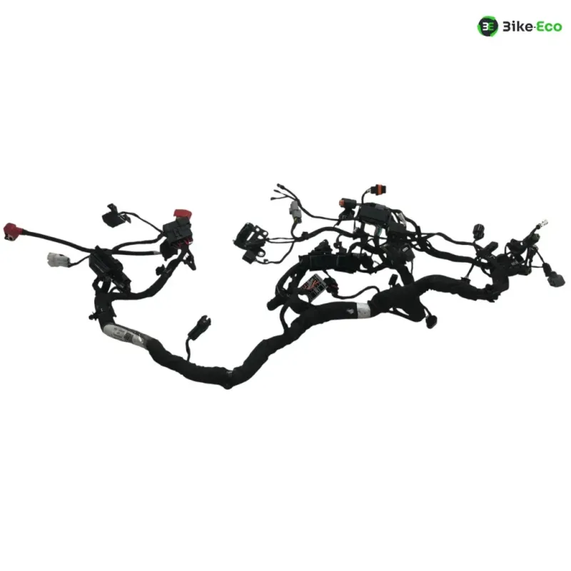 Faisceau electrique CF MOTO NK 800 2023-2025