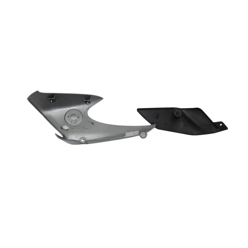 Ecope radiateur droit BMW R 850 R