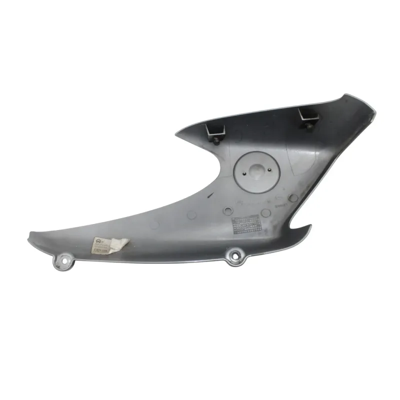 Ecope radiateur gauche BMW R 850 R