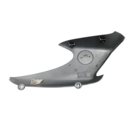 Ecope radiateur gauche BMW R 850 R