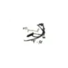 Maitre cylindre frein arriere BENELLI TORNADO NAKED 125 2017 - 2025 Maitre cylindre frein arriere BENELLI TORNADO NAKED 125 2017 - 2025