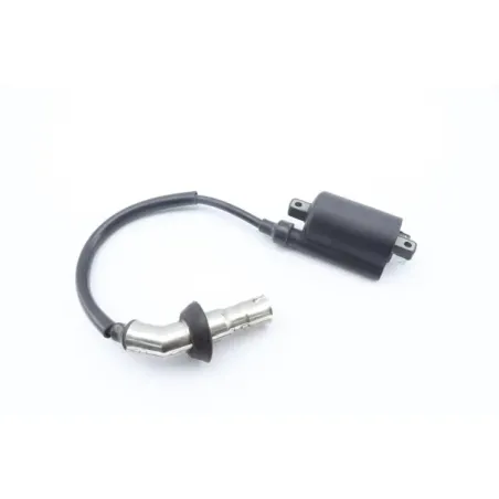 Bobine allumage PEUGEOT KISBEE 50 2010 - 2020