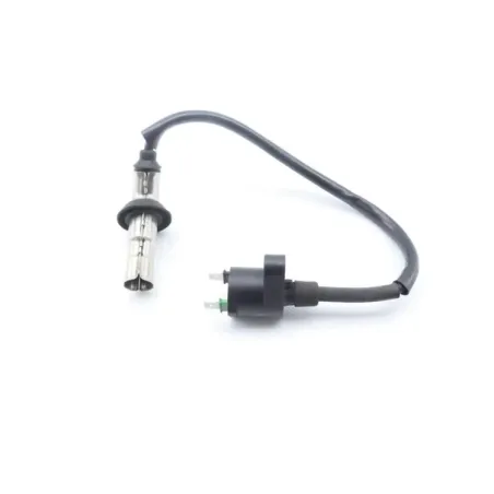 Bobine allumage PEUGEOT KISBEE 50 2010 - 2020
