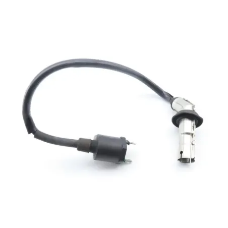 Bobine allumage PEUGEOT KISBEE 50 2010 - 2020