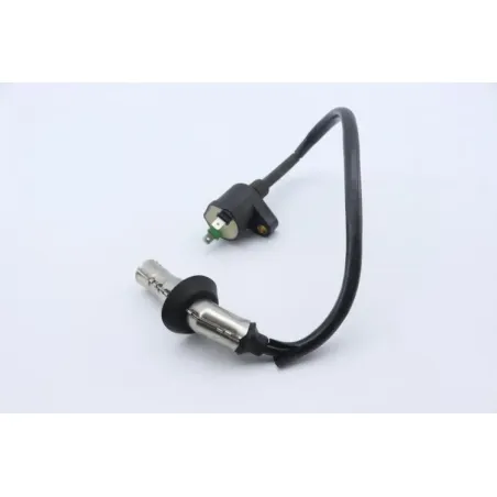 Bobine allumage PEUGEOT KISBEE 50 2010 - 2020