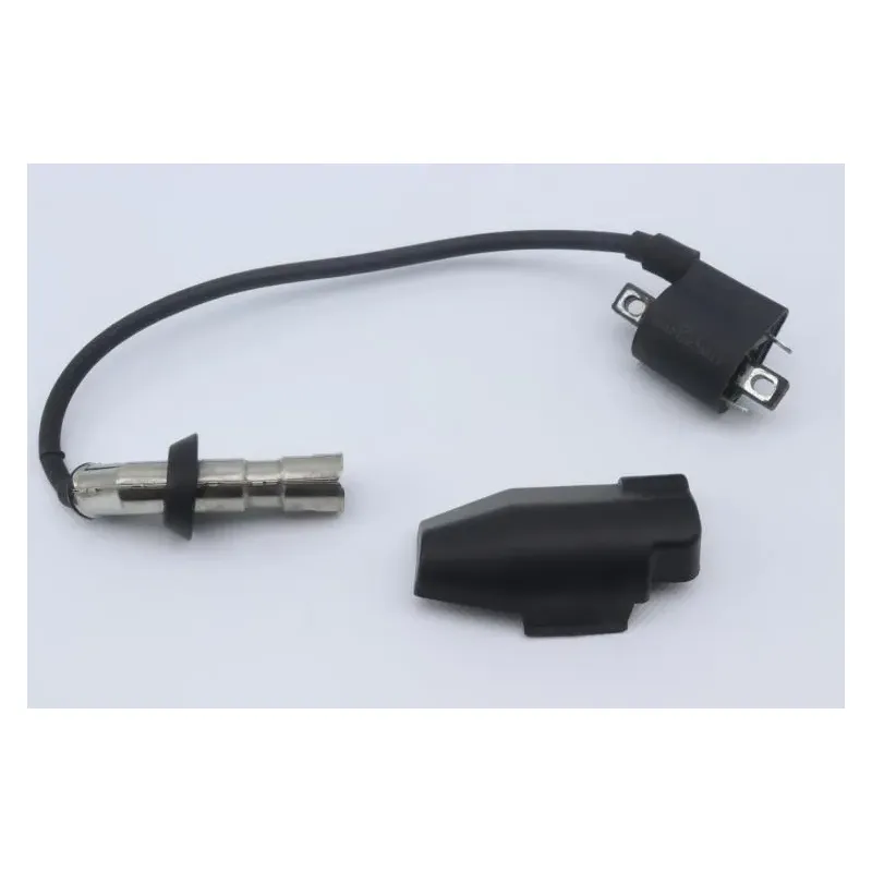 Bobine allumage EUROCKA GTR 50 2015 - 2018