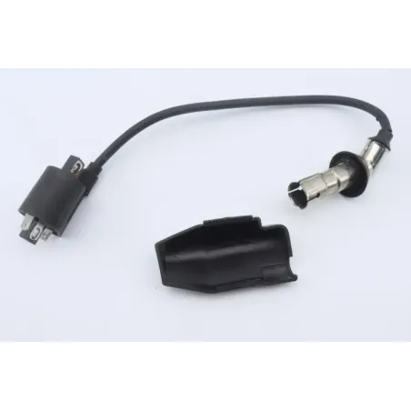 Bobine allumage EUROCKA GTR 50 2015 - 2018