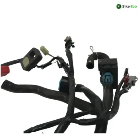 Faisceau electrique KAWASAKI Z 650 2017-2019