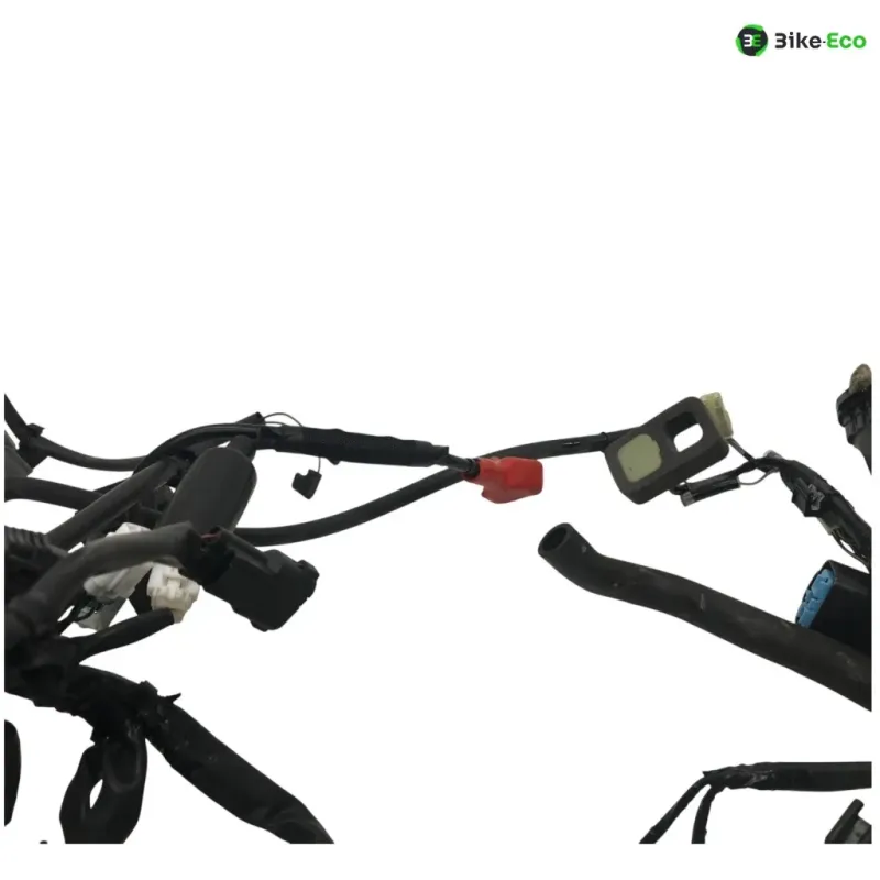 Faisceau electrique KAWASAKI Z 650 2017-2019