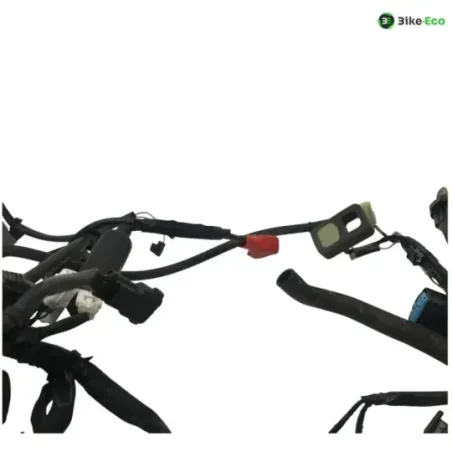 Faisceau electrique KAWASAKI Z 650 2017-2019