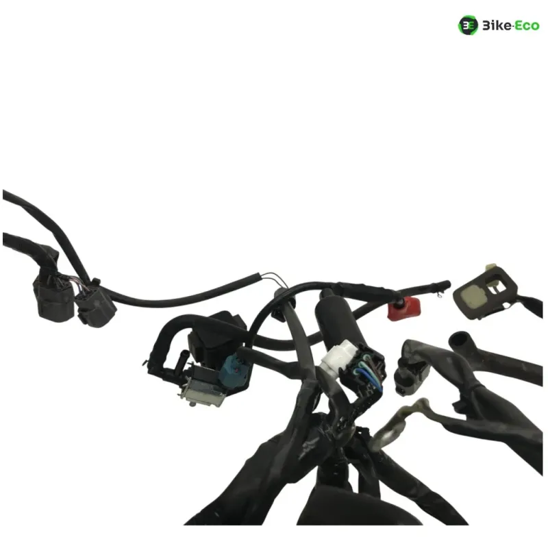 Faisceau electrique KAWASAKI Z 650 2017-2019