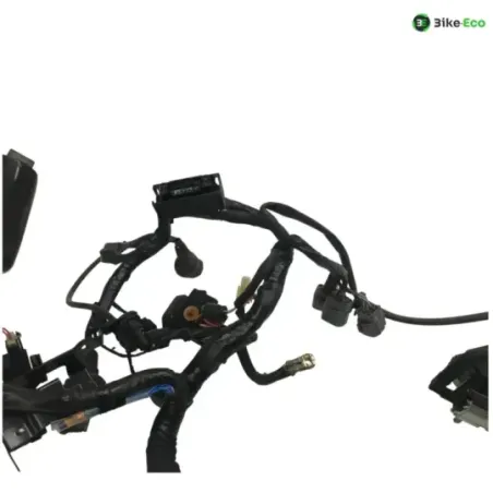 Faisceau electrique KAWASAKI Z 650 2017-2019