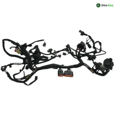 Faisceau electrique KAWASAKI Z 650 2017-2019