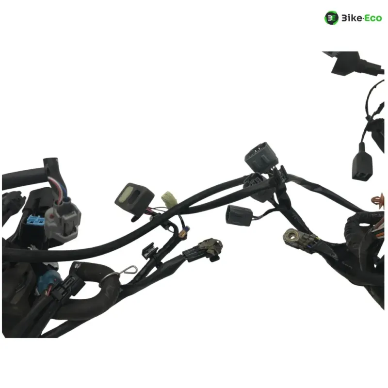 Faisceau electrique KAWASAKI Z 650 2017-2019