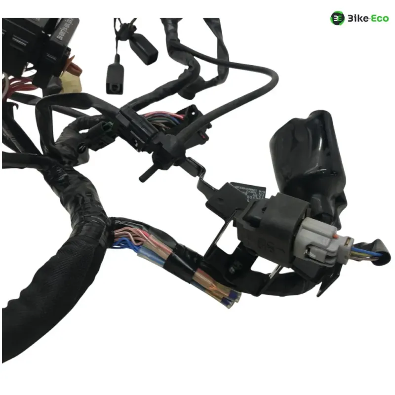 Faisceau electrique KAWASAKI Z 650 2017-2019