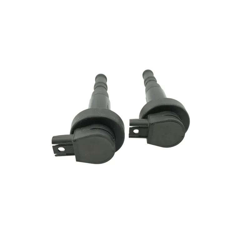Bobine allumage BMW F 800 R 2009 - 2011