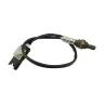Sonde lambda BMW F 800 R 2009 - 2011