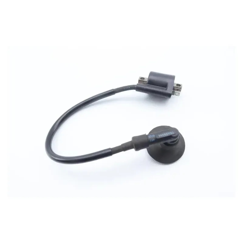 Bobine allumage MBK YH 50 FLIPPER 1999 - 2006
