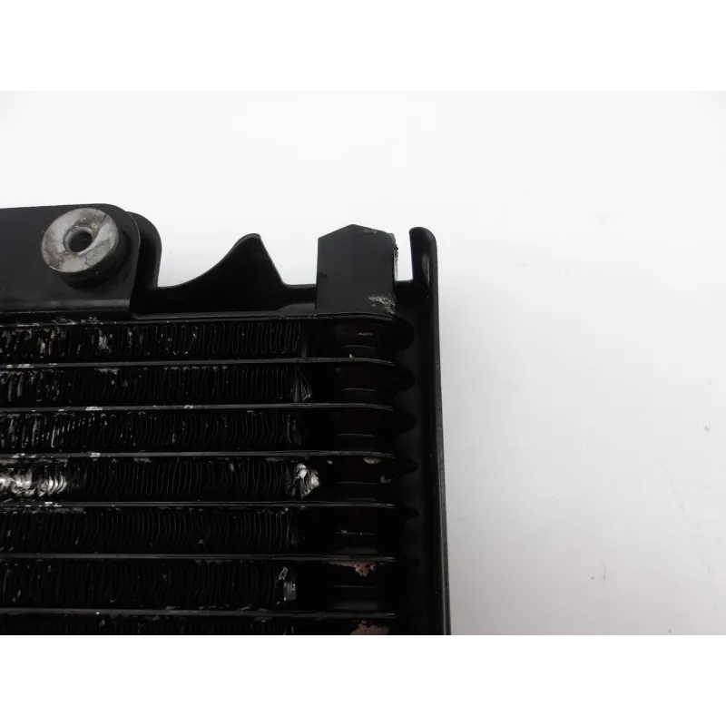 Radiateur huile BASHAN X 200 SUPER DAKAR 2020 - 2022