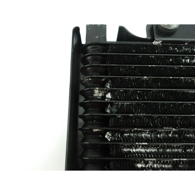 Radiateur huile BASHAN X 200 SUPER DAKAR 2020 - 2022