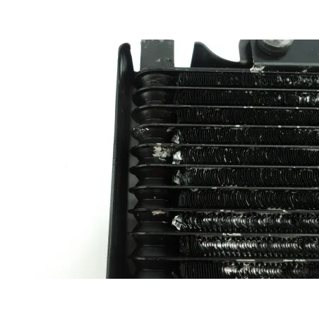 Radiateur huile BASHAN X 200 SUPER DAKAR 2020 - 2022