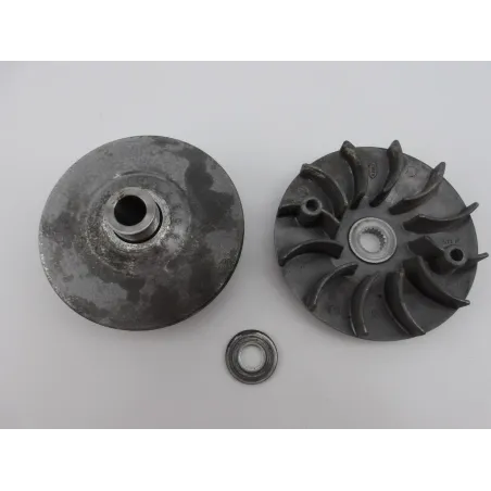 Variateur BASHAN X 200 SUPER DAKAR 2020 - 2022