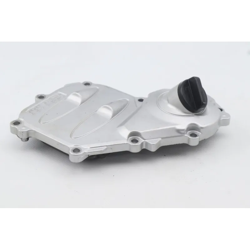 Carter moteur YAMAHA FJR 1300 2016 - 2020