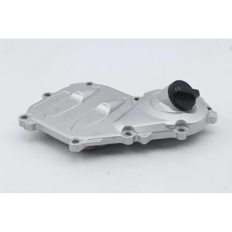 Carter moteur YAMAHA FJR 1300 2016 - 2020
