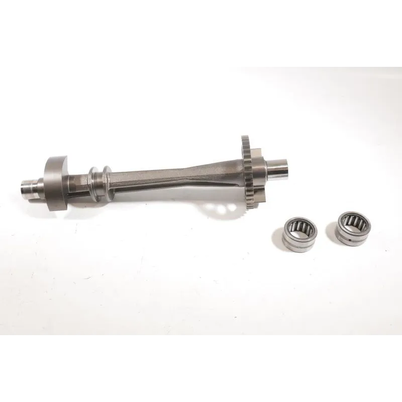 Arbre equilibrage TRIUMPH SPEED TRIPLE 1200 RS ABS 2021 - 2022