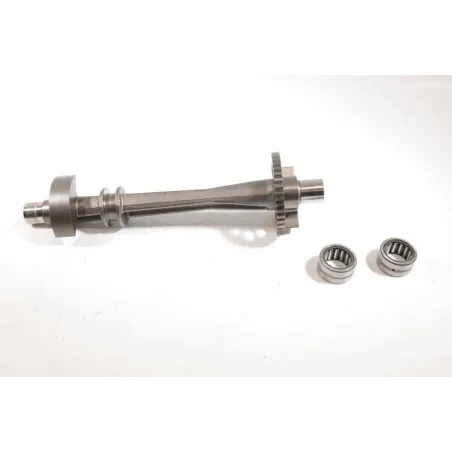 Arbre equilibrage TRIUMPH SPEED TRIPLE 1200 RS ABS 2021 - 2022