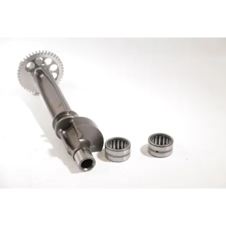 Arbre equilibrage TRIUMPH SPEED TRIPLE 1200 RS ABS 2021 - 2022