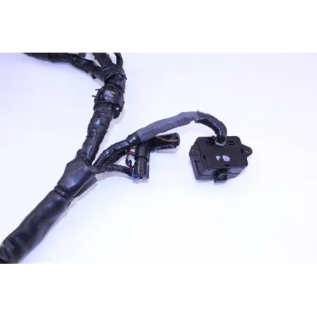 Faisceau electrique HONDA NTV 650 REVERE 1988 - 1997