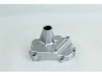 Carter moteur gauche YAMAHA FZS 1000 FAZER 2001 - 2005
