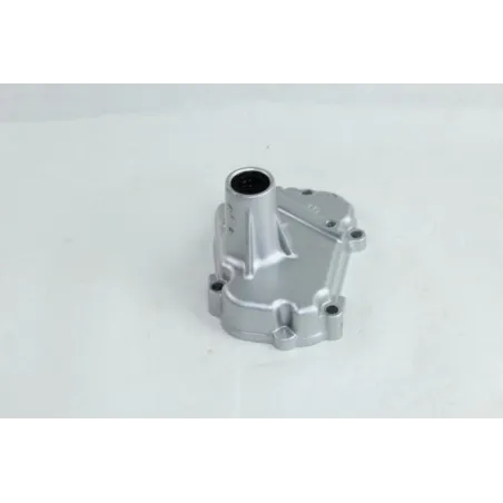 Carter moteur gauche YAMAHA FZS 1000 FAZER 2001 - 2005