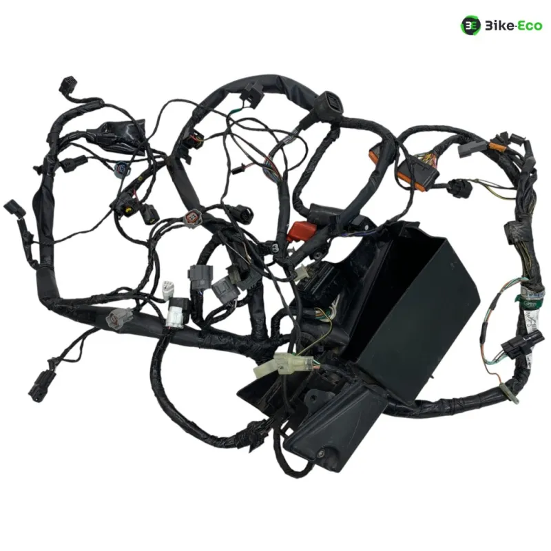 Faisceau electrique KAWASAKI ER6 650 2006-2008 F