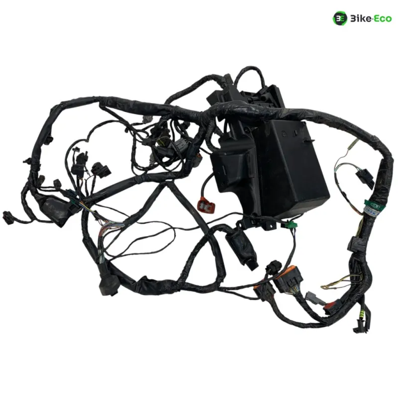 Faisceau electrique KAWASAKI ER6 650 2006-2008 F
