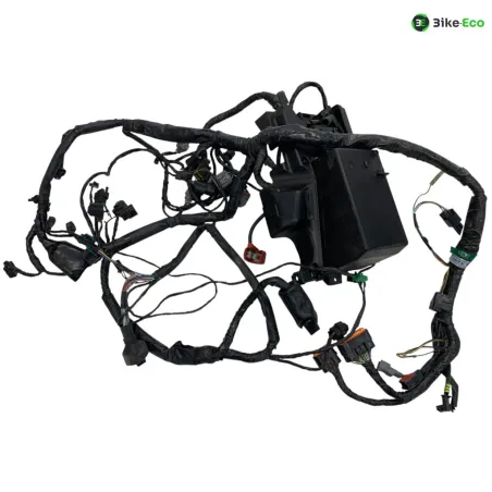 Faisceau electrique KAWASAKI ER6 650 2006-2008 F