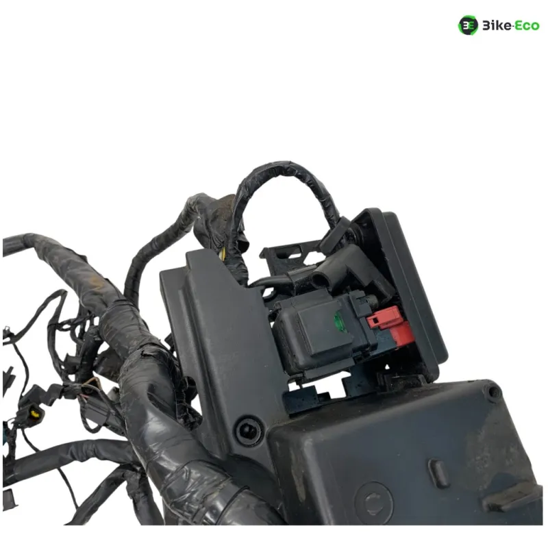 Faisceau electrique KAWASAKI ER6 650 2006-2008 F