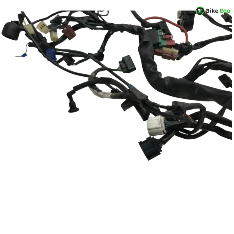 Faisceau electrique HONDA CBF 600 2008-2010 N