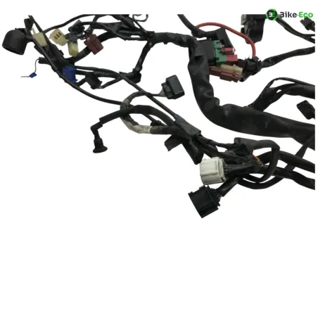 Faisceau electrique HONDA CBF 600 2008-2010 N