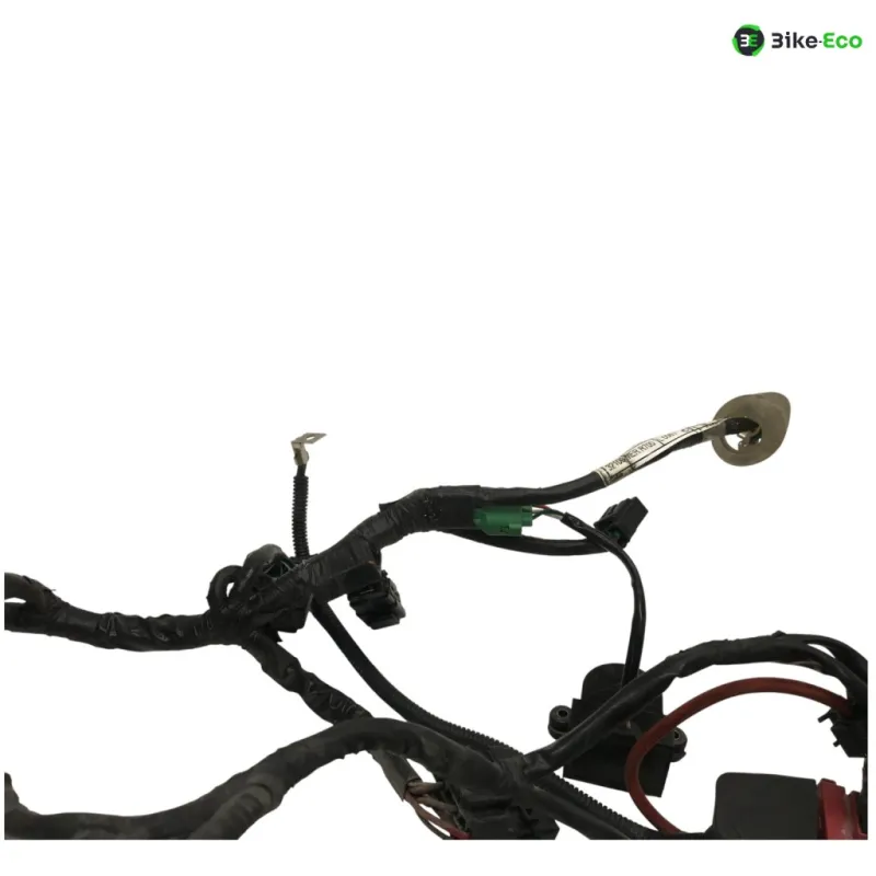 Faisceau electrique HONDA CBF 600 2008-2010 N