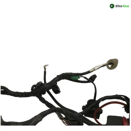 Faisceau electrique HONDA CBF 600 2008-2010 N