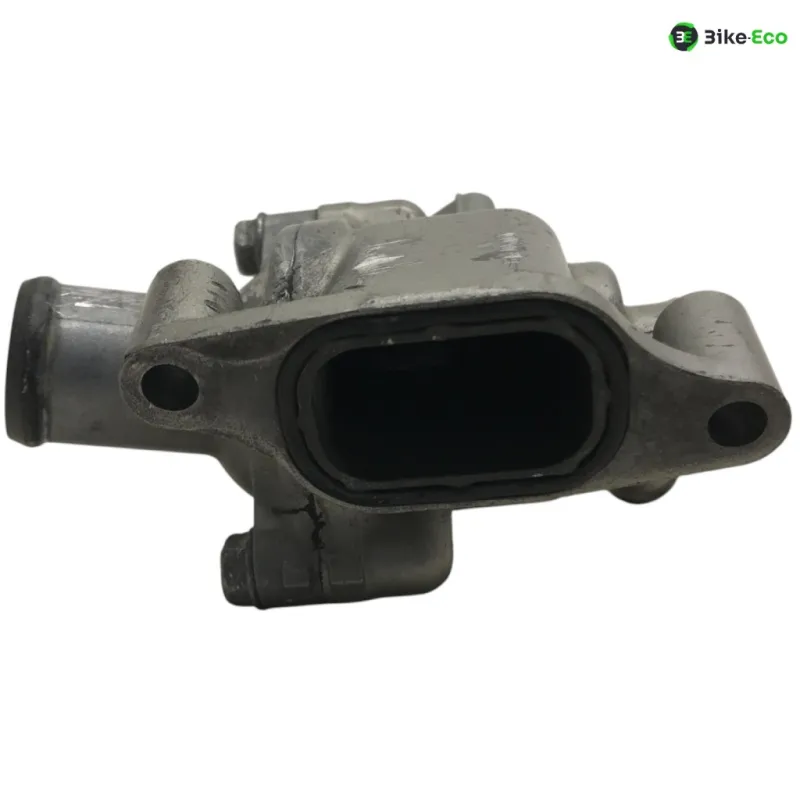 Calorstat HONDA CBF 600 2008-2010 N